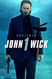 John Wick (Otro día para matar) (2014)